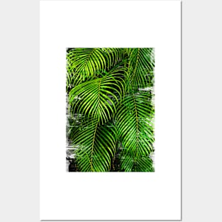 Palm Tree Leaves Abstract - For plant lovers Posters and Art